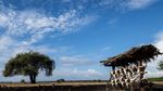 Pesona Taman Nasional Baluran
