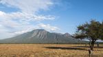 Pesona Taman Nasional Baluran
