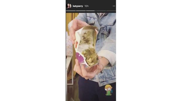 Nugget ayam berjamur dari penggemar Indonesia diabadikan dalam Instagram Story Katy Perry.