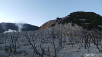 Sebenarnya ada dua jalur pendakian yang bisa digunakan untuk menuju puncak. Jalur pertama yakni lewat Hutan Mati, namun jalur ini cukup ekstrem dengan tanjakan curam berbatu. Sementara jalur yang kedua biasa digunakan oleh pendaki pemula (Niken Purnamasari/detikTravel)