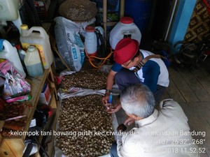 Kabupaten Bandung Jadi Target Swasembada Bawang Putih 2021