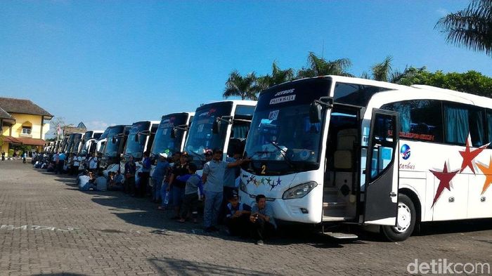 Foto: Ragil Ajiyanto/detikcom Foto: Ragil Ajiyanto/detikcom