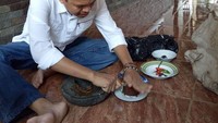 Lagi-lagi Kang Dedi terlihat ngulek sambal. Kali ini sambal rujak yang lagi diuleknya. Foto: Instagram @dedimulyadi71