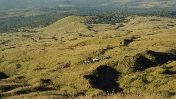 Foto: Ini adalah sabana ketika traveler mendaki Gunung Tambora via Kawinda To’i. Letaknya ada di Pos 4 dan kamu bisa menikmati sunset juga mendirikan camp untuk bermalam di sini sebelum ke summit attack (Agus Budi Santosa/Istimewa)
