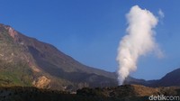 Perjalanan dari Pondok Saladah menuju Hutan Mati sekitar 15 menit dan banyak terdapat Bunga Edelweis. Asap dari kawah juga terlihat dan bau belerang tercium (Niken Purnamasari/detikTravel)