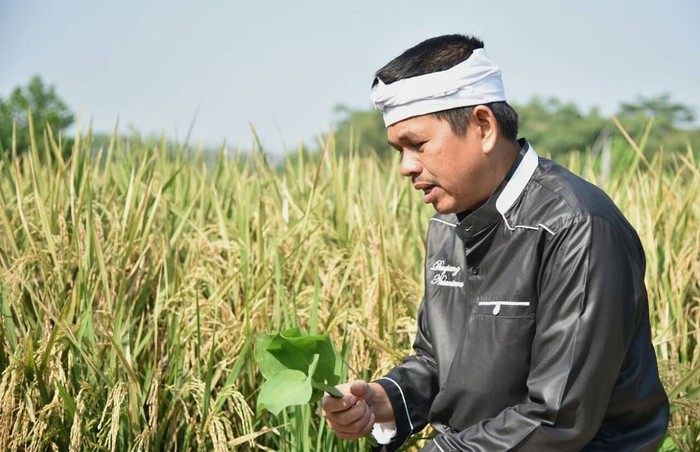 Dedi Mulyadi