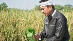 Intip Keseruan Dedi Mulyadi Ketika Makan Pecel hingga Ngulek Sambal Rujak
