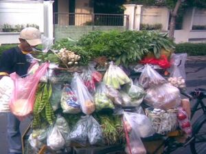Masak Apa Hari Ini : Sayur Nangka Merah dan Orak-Arik Peda