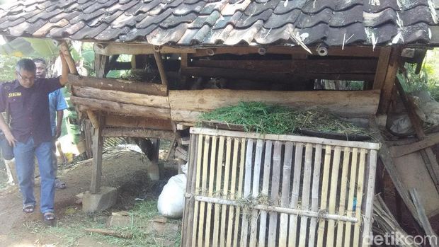Misteri Kematian Dadan dengan Golok Tertancap di Dada