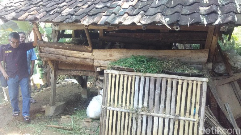 Tim Gabungan Usut Kasus Korban Tewas Tertancap Golok di Dada Tim Gabungan Usut Kasus Korban Tewas Tertancap Golok di Dada