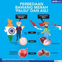 Begini Nih Perbedaan  Bawang Merah Palsu  dan  yang Asli 