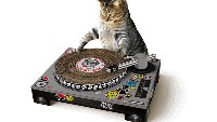 Turntables untuk Kucing. Benda ini berharga US$ 25,39 atau Rp 355.460 (kurs Rp 14.000/US$). Tentu bukan turtables sungguhan untuk memutar musik di piringan hitam. Ini hanyalah benda yang digunakan agar kucing anda tidak mencakar sembarangan. Foto: Thestreet