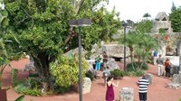 Kastil Karang ini berawal dari kisah cinta Edward Leedskalnin, yang akrab disapa Ed, yang kandas dengan sang kekasih bernama Agnes Scuffs. Ia bertunangan dan akan menikah dengan Agnes. Tapi sehari sebelum hari H Agnes membatalkan pernikahan mereka (Coral Castle)