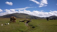 Alam yang ekstrem membuat Suku Inca jadi rajin. Dilihat dari pengerjaan bangunan, batu-batu bangunan dipotong sehalus dan seakurat mungkin. Sehingga menghasilkan pengerjaan yang halus khas Suku Inca. (domainosoy/Instagram)