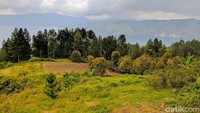 Pemandangan indah di Danau Toba. Semoga pemerintah segera mengevaluasi standar keselamatan kapal supaya wisatawan lebih aman liburan di sana (Sena Pertiwi/detikTravel)