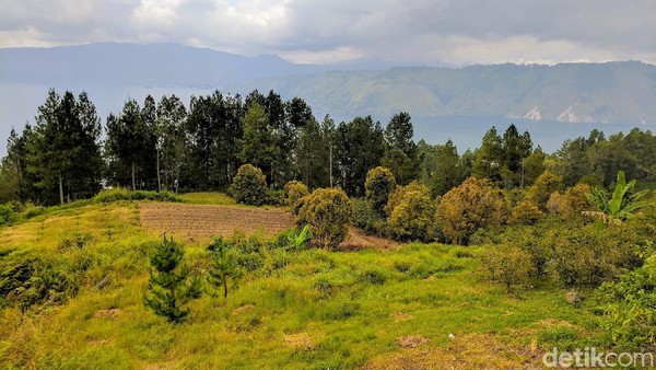 Pemandangan indah di Danau Toba. Semoga pemerintah segera mengevaluasi standar keselamatan kapal supaya wisatawan lebih aman liburan di sana (Sena Pertiwi/detikTravel)