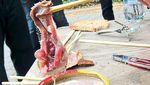 9 Makanan dari Eropa Ini Tak Populer Karena Dianggap Aneh dan Menjijikan