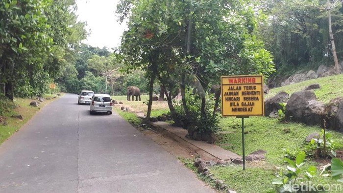 Taman Safari Prigen