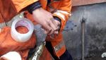 Ini Ular Sanca yang Teror Warga Pasar Rebo