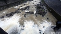 Batu yang berada di Kali Ciliwung dekat Bendungan Katulampa masih terlihat.