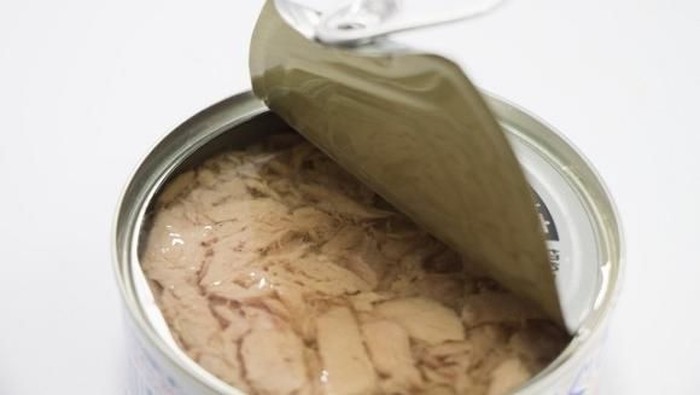 tuna kalengan