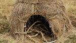 Foto Bukti Peradaban Tinggi Suku Inca di Peru