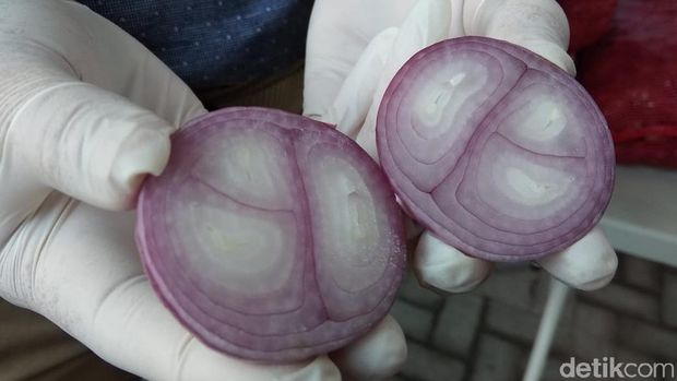 Bawang Merah Asli memiliki Siung