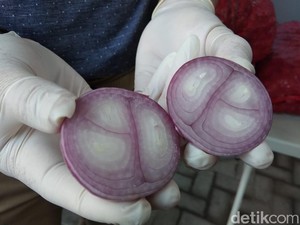 Jual Bawang Merah Palsu, Importir Dapat Berapa?