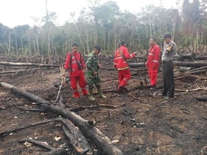 Ini Langkah Cepat KLHK Padamkan Api Cegah Kebakaran Hutan