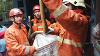 Setelah dicek, ular itu rupanya milik  Muhadi (52) warga Jalan H Nasih RT 14/05, Gedong, Pasar Rebo, Jakarta Timur, yang lepas. Menurutnya hingga saat ini pemilik masih mudik. (dok. Istimewa)