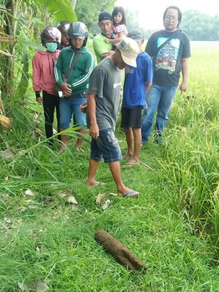 Hendak Kubur Sapi, Warga Jombang Ini Malah Temukan Mortir