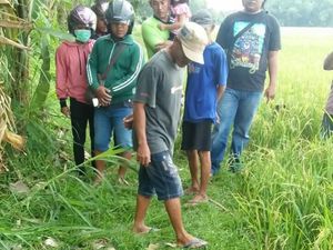 Hendak Kubur Sapi, Warga Jombang Ini Malah Temukan Mortir