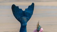 Wah keren banget ya, soalnya mermaiding tergolong olahraga yang sulit dilakukan. (Foto: Instagram/stivesmermaid)