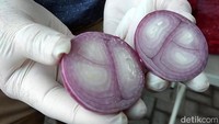 Bawang merah lokal memiliki 2-3 siung.