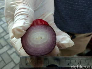 Di India, Bawang Merah Palsu Cuma Rp 2.500/Kg
