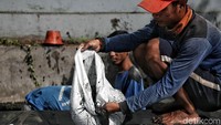 Lumpur tersebut dimasukkan kedalam kantung-kantung yang telah disediakan.