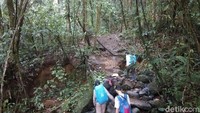 Vegetasi hutan gunung yang berada di Kabupaten Sukabumi dan Bogor ini terbilang masih masih sangat alami Jalurnya tidak terlalu terjal dengan batu-batuan yang disusun rapi sebagai jalan setapak (Muhammad Idris/detikTravel)