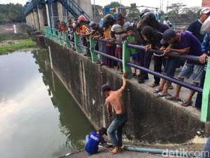 Diburu Warga di Sungai Brantas, Ikan Arapaima Dijual Rp 20 Ribu/Kg
