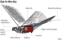 China Kerahkan Drone Berbentuk Burung Awasi Penduduk