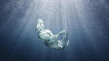 Juara di kategori Water diraih Aristo Risi, Shellharbour, Australia. Foto: Nature Conservancy 2018