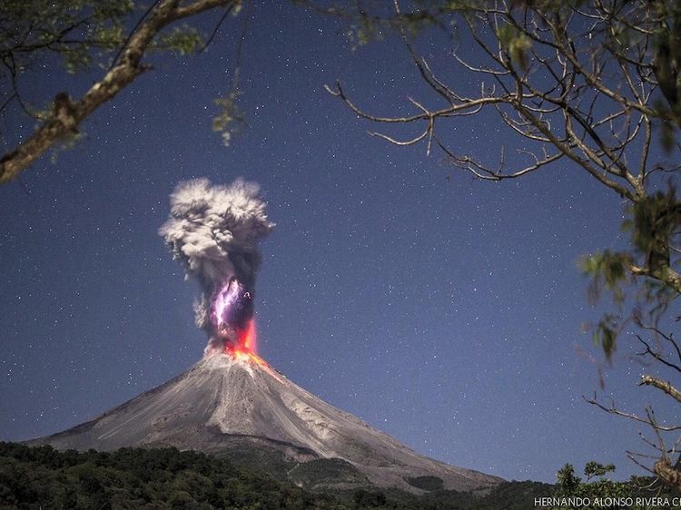Karya Memukau Jawara Kontes Foto Nature Conservancy 2018