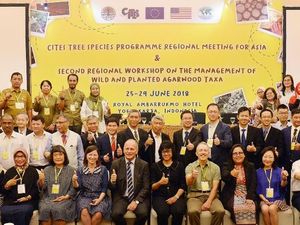 KLHK Ajak Lembaga Internasional Lestarikan Tanaman Terancam Punah