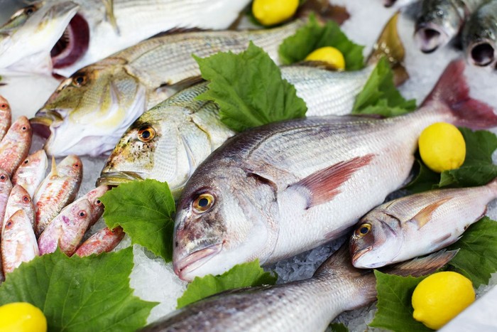 Foto: Istock Foto: Istock