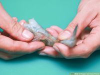 Ini Cara Mudah Untuk Mengupas Kulit Udang Segar dan Rebus