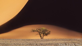 Juara di kategori Landscape diraih Paul Zizka, Banff, Alberta, Canada. Foto: Nature Conservancy 2018