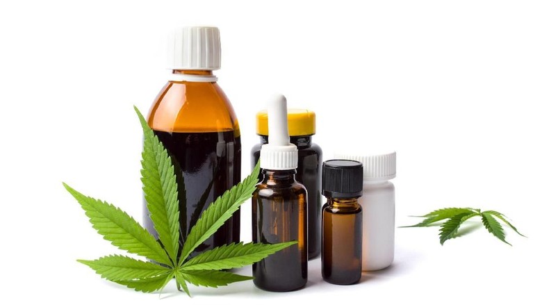 minyak ganja Marijuana plant and cannabis oil bottles isolated