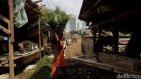 Setiap harinya para pemilik menghabiskan uang sebesar Rp. 70.000 untuk membeli rumput