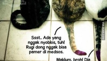 Siap-siap besok medsos diramaikan tinta di jari. (Foto: Internet)