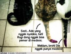 Deretan Meme Jelang Pilkada yang Bikin Terhibur