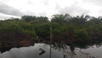 Selain itu, beberapa alat berada di lokasi untuk membersihkan lahan dan melakukan kegiatan lainnya. Di dalam lahan perkebunan ini, juga terdapat rumah yang diperuntukkan untuk pekerja. 